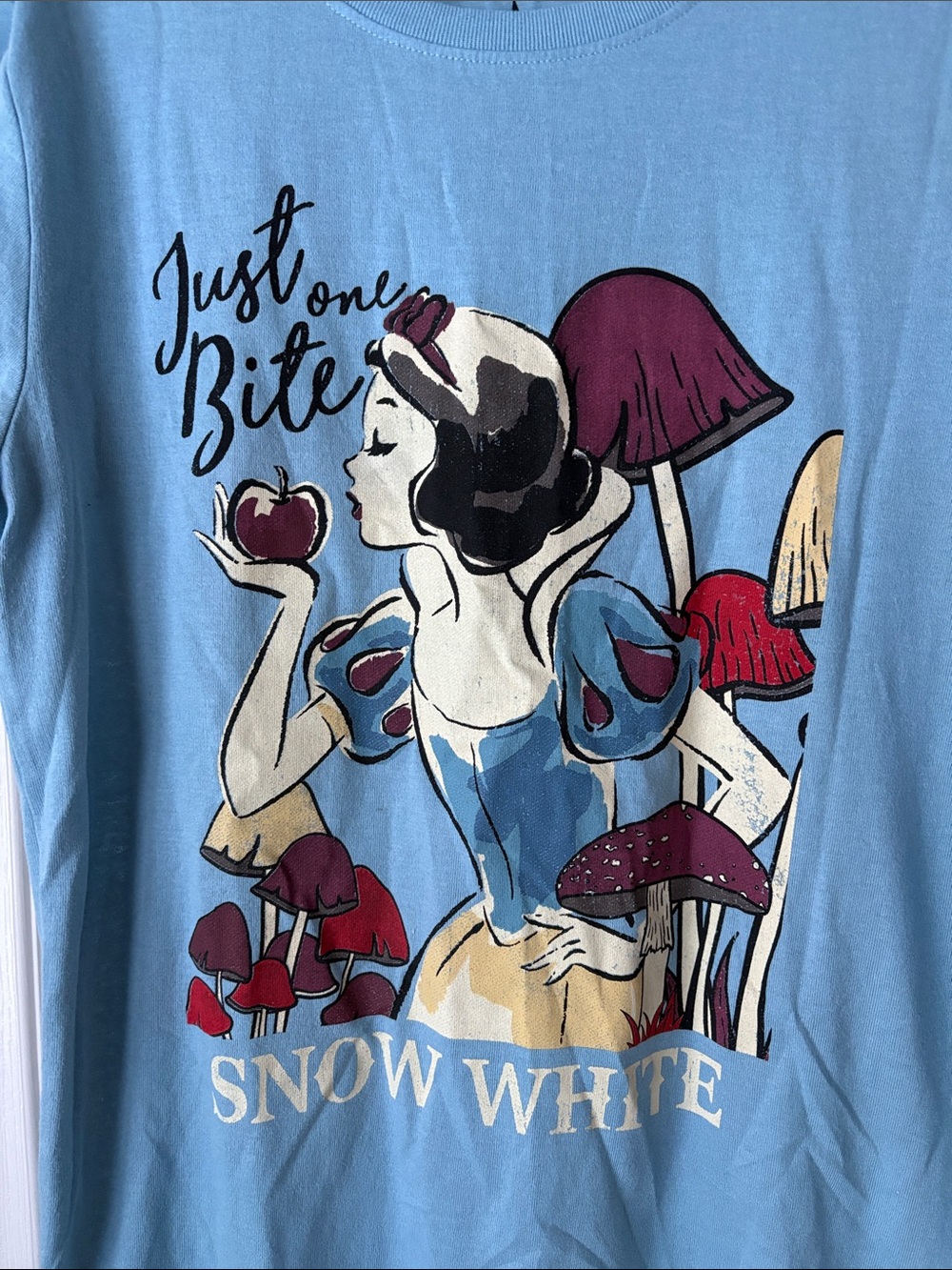 Disney Snow White Graphic Tee - Light Blue with Burgundy Accents